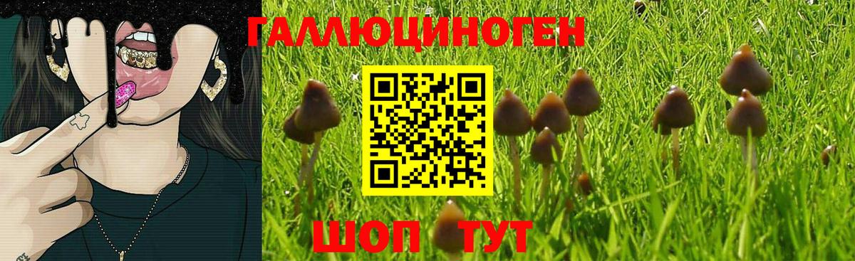 Псилоцибиновые грибы Magic Shrooms  Вход с VPN  Можайск 